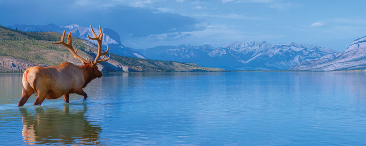 Turquoise lake surrounded by Canadian Rocky Mountains